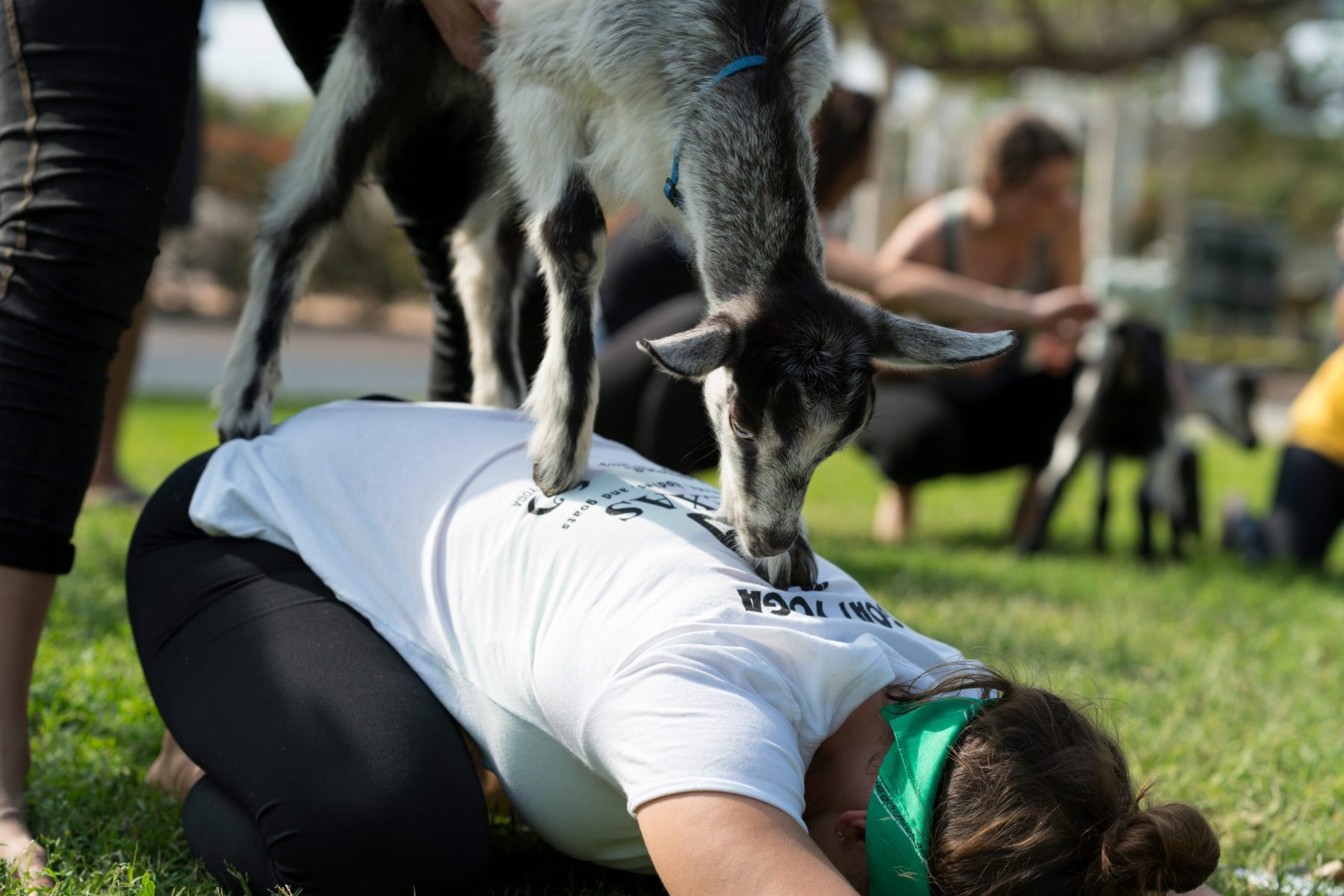 yoga