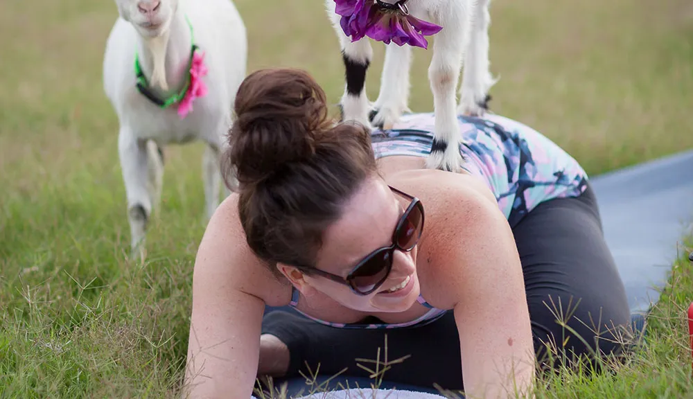  goat yoga