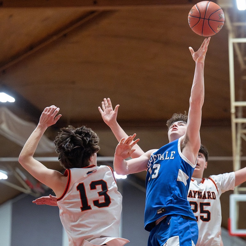 basketball training in Metrowest